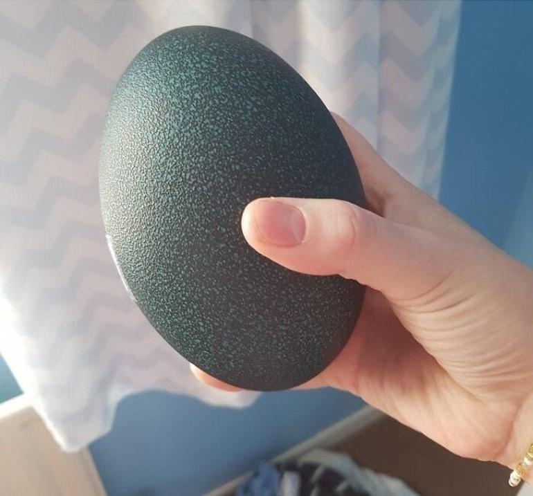 Купили в интернете "яйцо экзотической птицы" и решили проверить