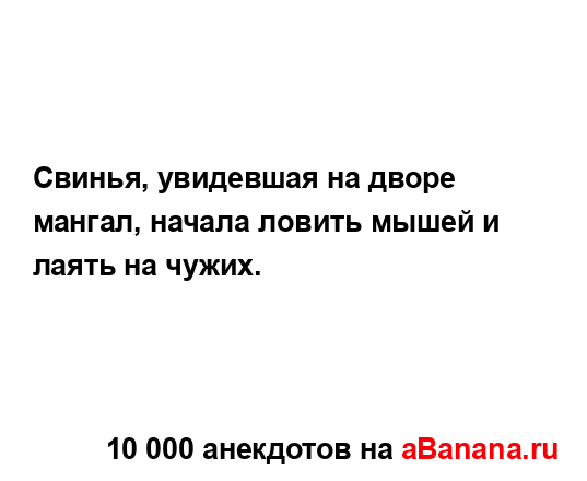 Свинья, увидевшая на дворе мангал, начала ловить мышей...