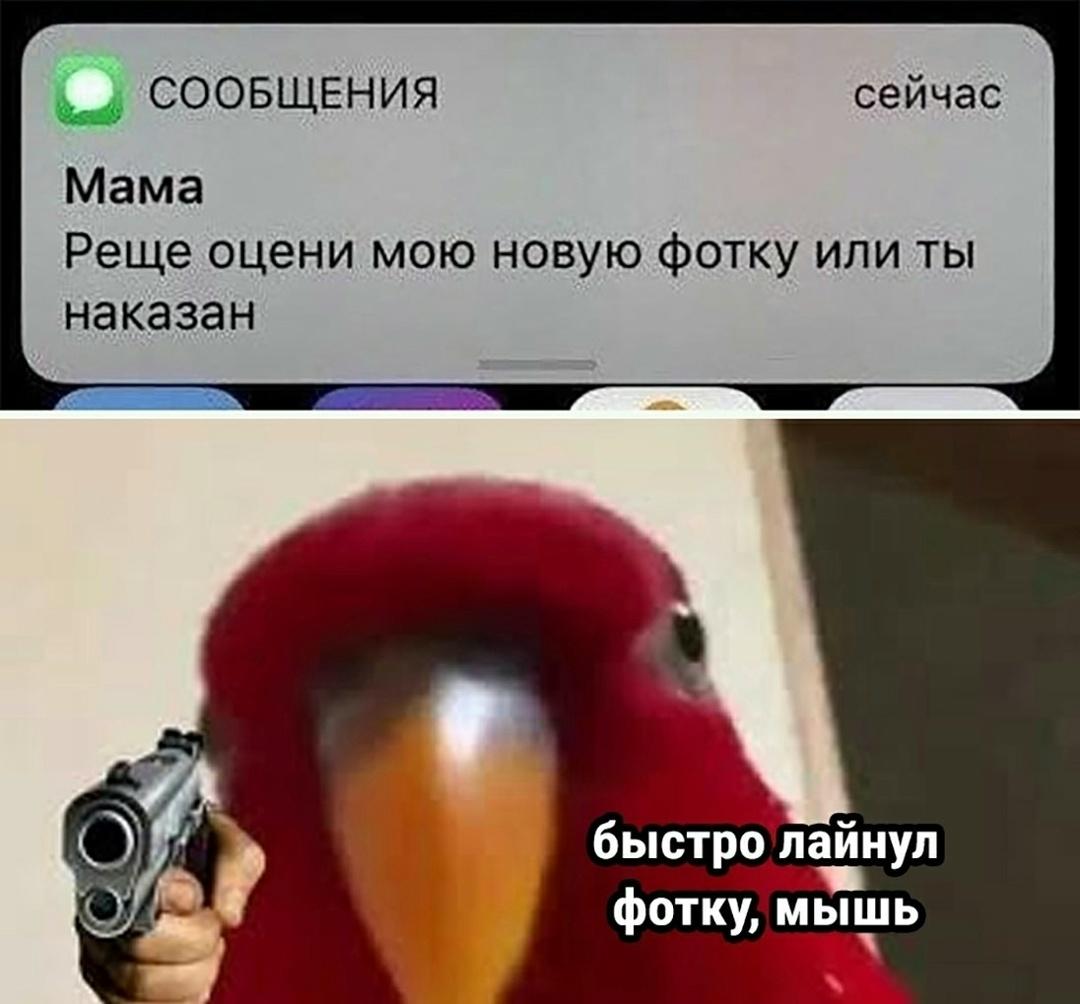 Без комментария