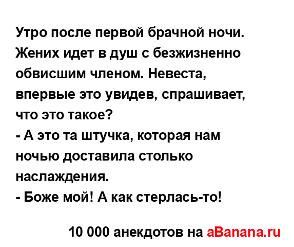 Утро после первой брачной ночи. Жених идет в душ с...