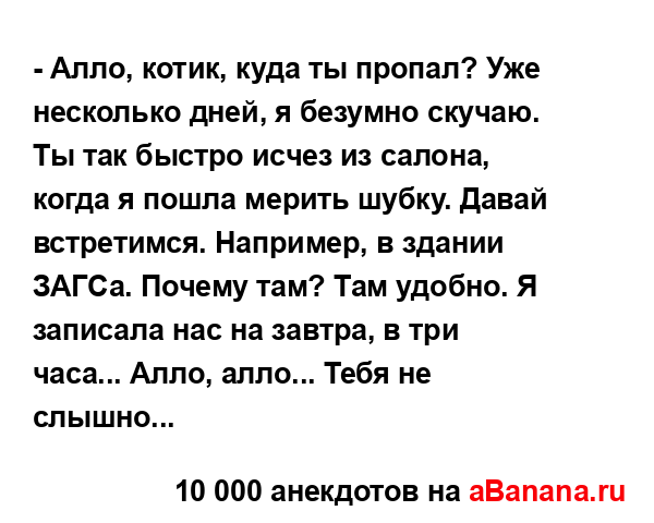 - Алло, котик, куда ты пропал? Уже несколько дней, я...