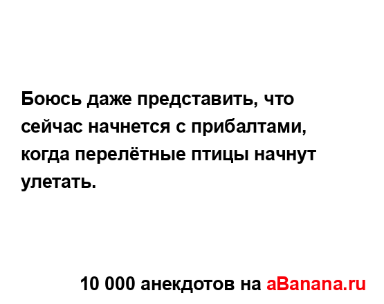 Боюсь даже представить, что сейчас начнется с...