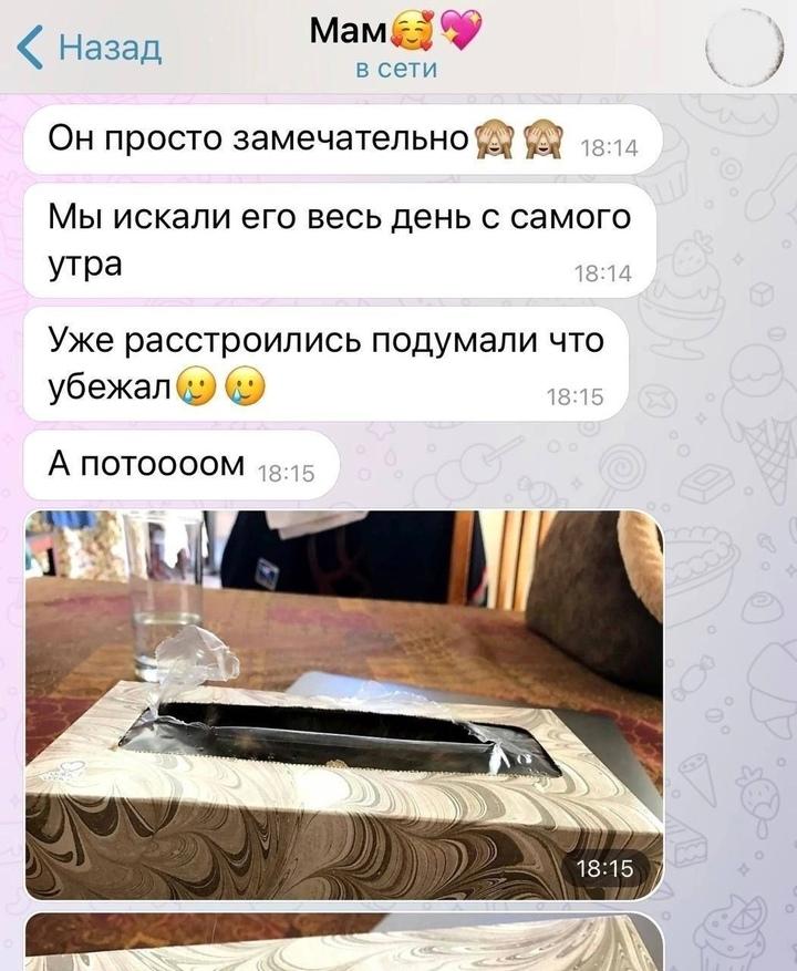 Прелесть какая :3