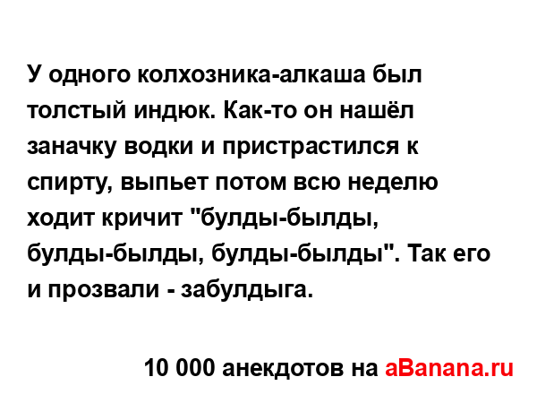 У одного колхозника-алкаша был толстый индюк. Как-то он...