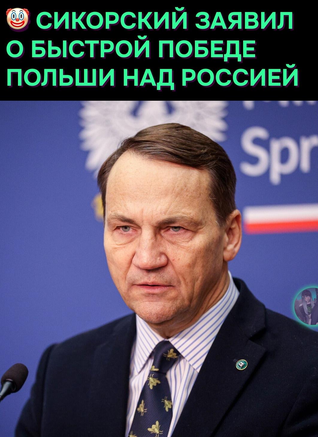 Глава МИД Польши Радослав Сикорский порассуждал о гипотетическом прямом военном конфликте между Польшей и Россией.