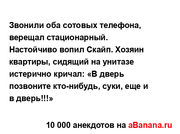 Звонили оба сотовых телефона, верещал стационарный....