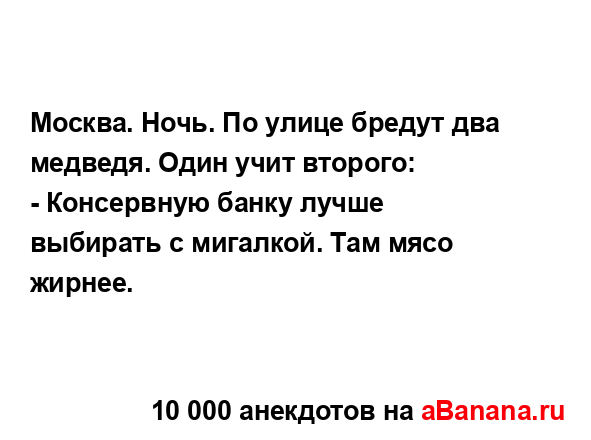 Москва. Ночь. По улице бредут два медведя. Один учит...