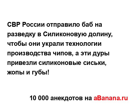 СВР России отправило баб на разведку в Силиконовую...
