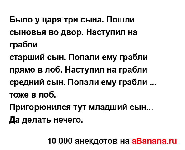 Было у царя три сына. Пошли сыновья во двор. Наступил на...
