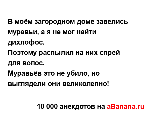 В моём загородном доме завелись муравьи, а я не мог...