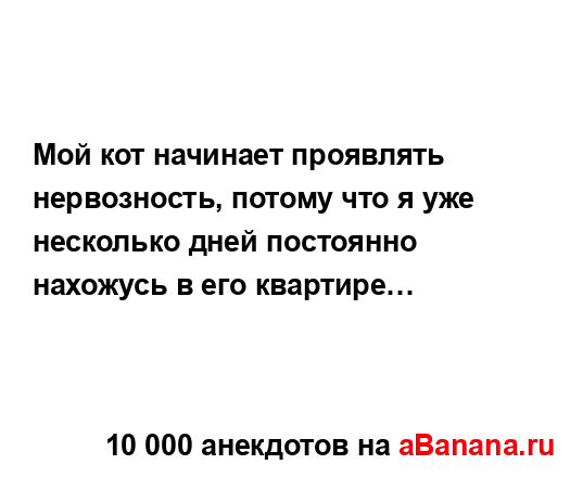 Мой кот начинает проявлять нервозность, потому что я...