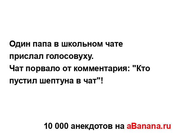 Один папа в школьном чате прислал голосовуху....