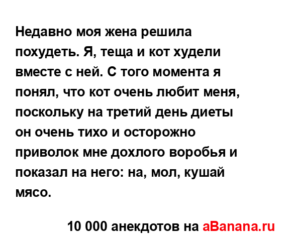Недавно моя жена решила похудеть. Я, теща и кот худели...