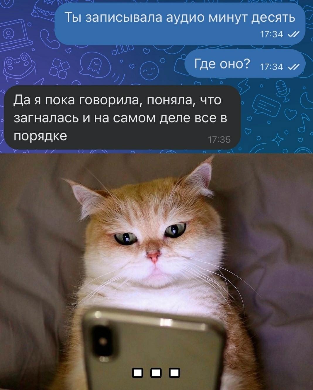 Без комментария