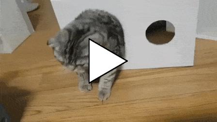 Без комментария