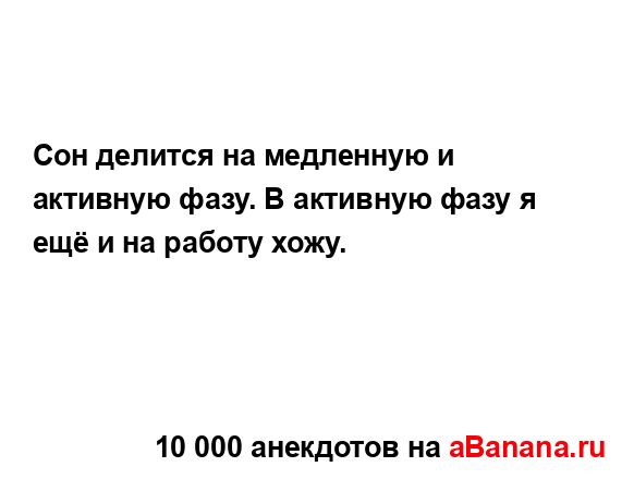 Сон делится на медленную и активную фазу. В активную...