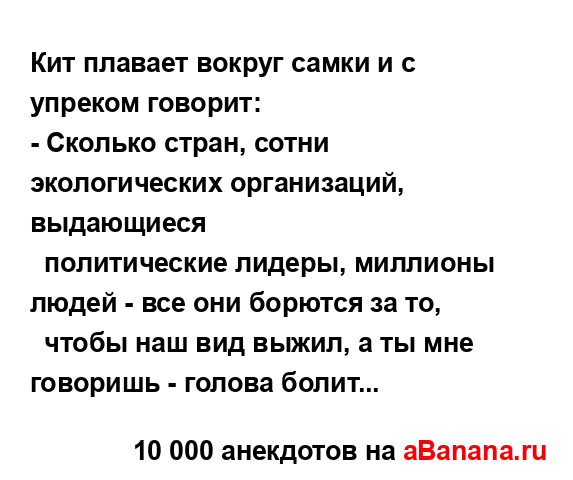 Кит плавает вокруг самки и с упреком говорит:...