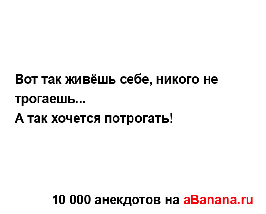 Вот так живёшь себе, никого не трогаешь......