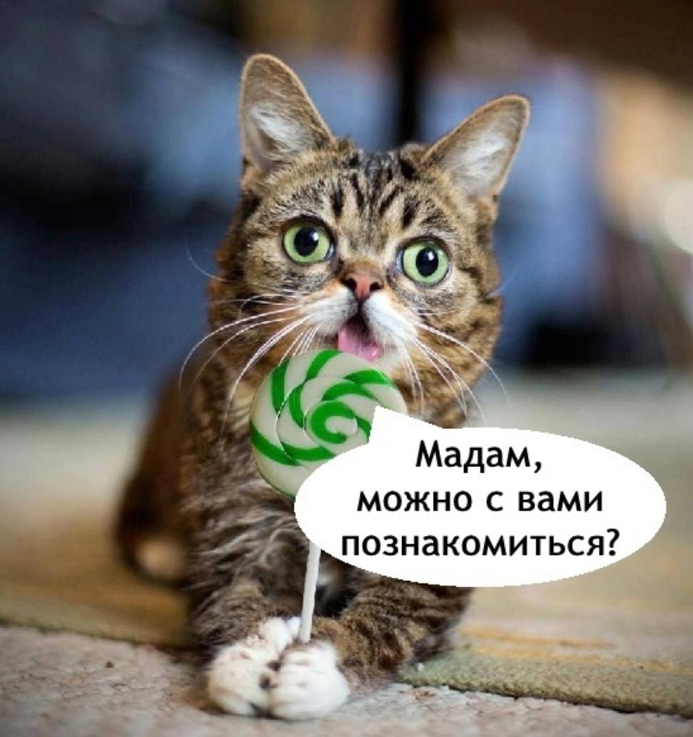 Когда оказался в Таиланде