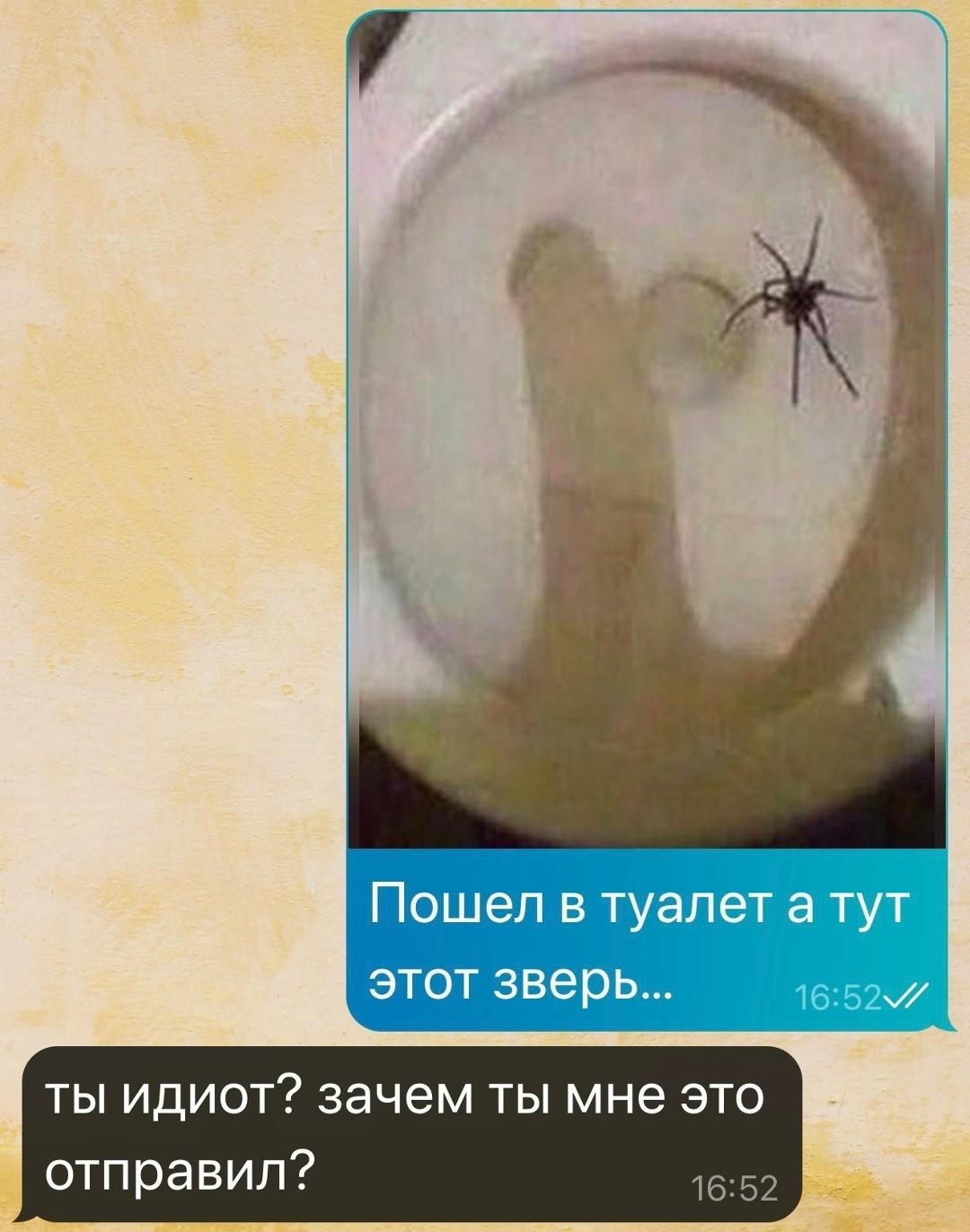 Без комментария