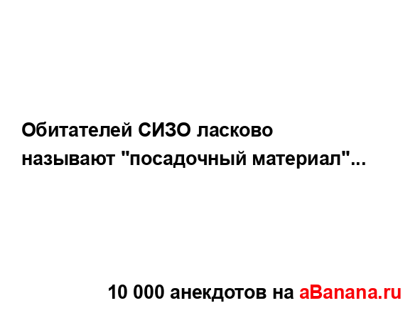 Обитателей СИЗО ласково называют "посадочный...