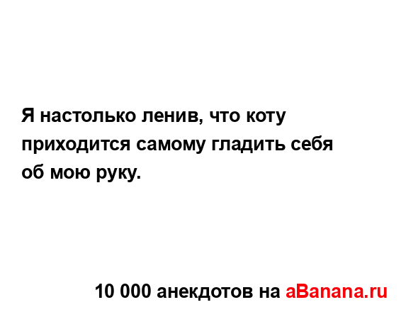 Я настолько ленив, что коту приходится самому гладить...