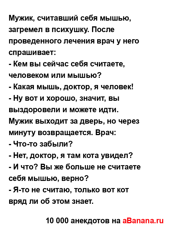 Мужик, считавший себя мышью, загремел в психушку. После...