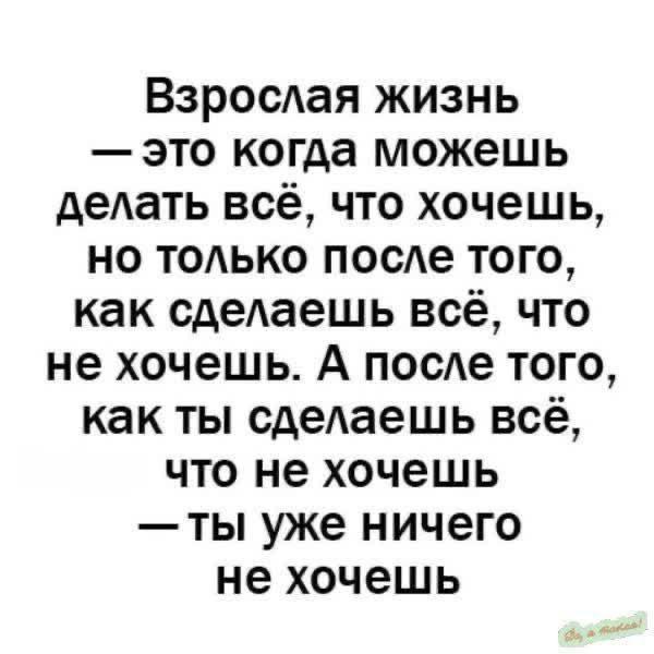 Без комментария