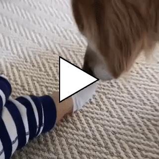 Без комментария