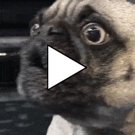 Без комментария