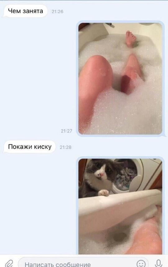 Без комментария