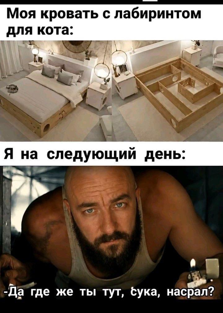 Без комментария