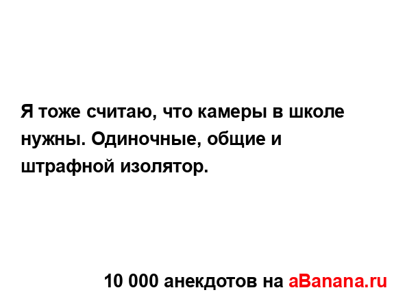 Я тоже считаю, что камеры в школе нужны. Одиночные,...