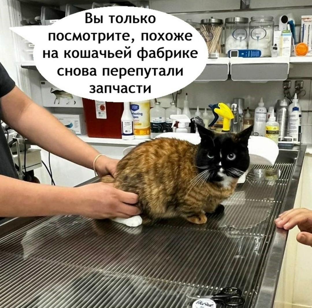 С таким шуточки плохи