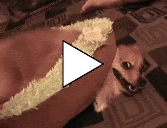 Без комментария