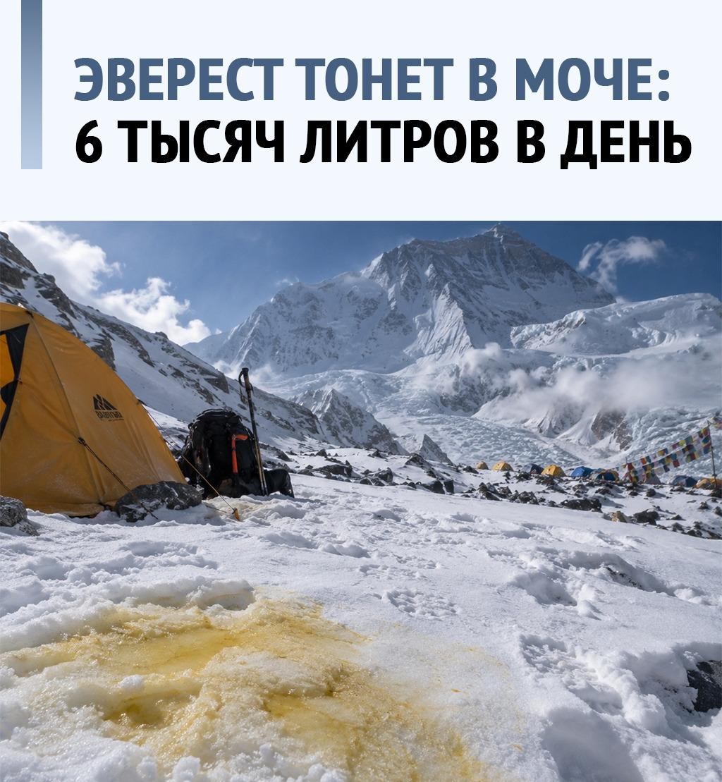 Эверест покорили. Теперь главное — не обоссать его окончательно