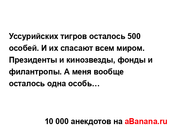 Уссурийских тигров осталось 500 особей. И их спасают...