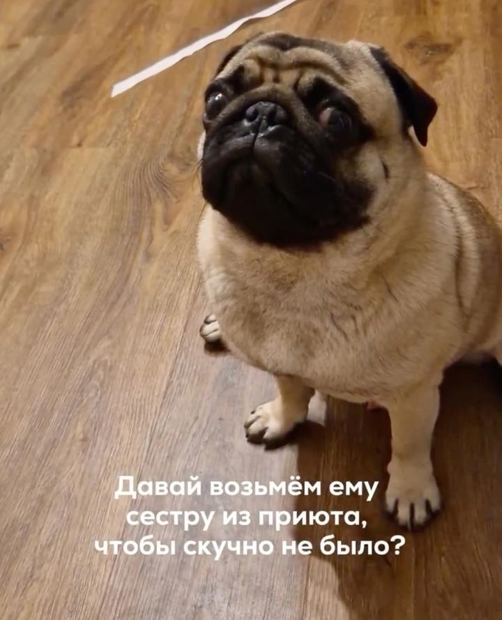 Ну это точно мы