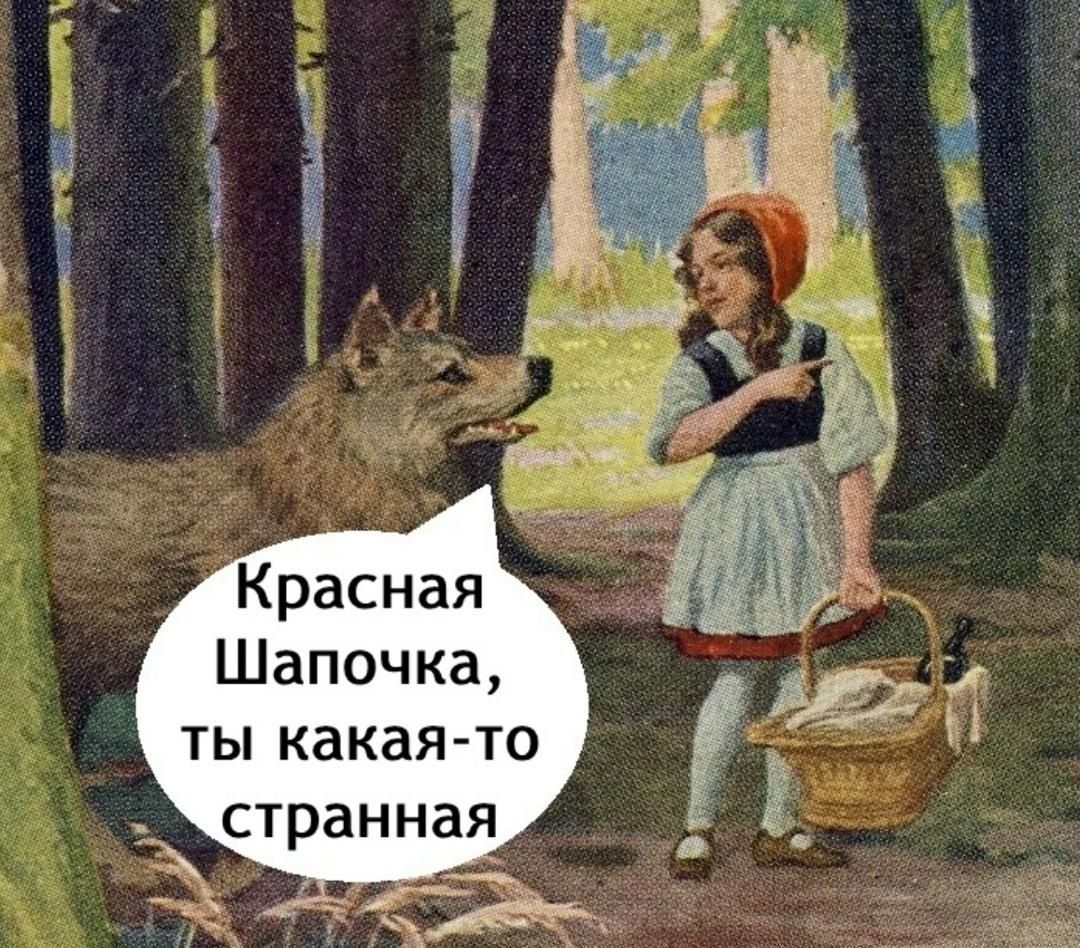 Этому псу вообще какая разница