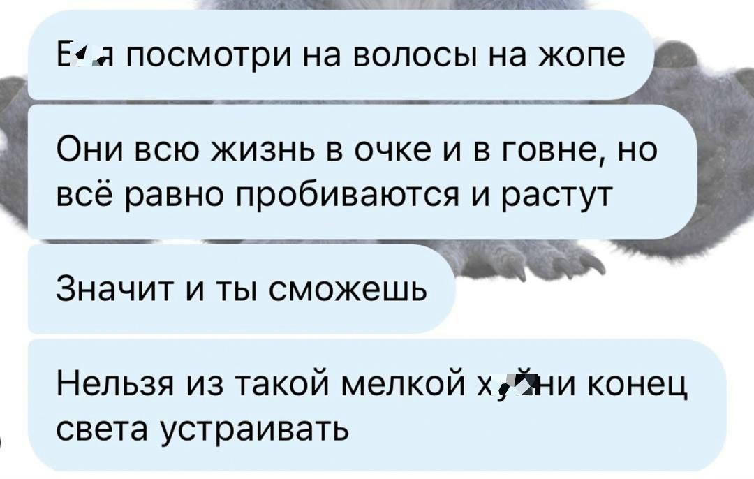 Без комментария