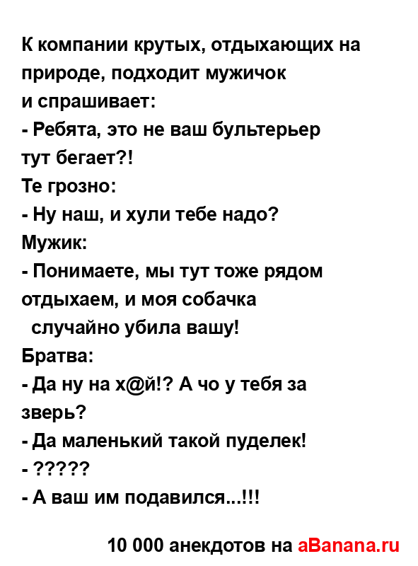 К компании крутых, отдыхающих на природе, подходит...