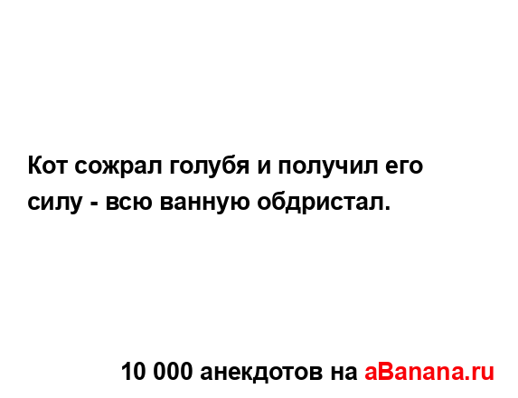 Кот сожрал голубя и получил его силу - всю ванную...