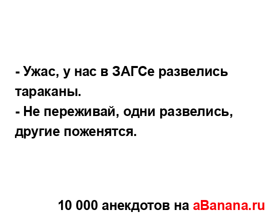 - Ужас, у нас в ЗАГСе развелись тараканы.
...