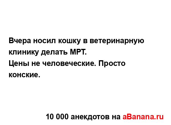 Вчера носил кошку в ветеринарную клинику делать МРТ.
...