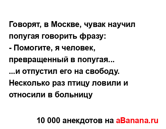 Говорят, в Москве, чувак научил попугая говорить...