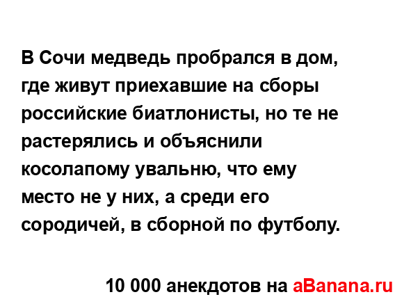 В Сочи медведь пробрался в дом, где живут приехавшие на...