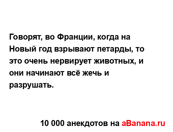 Говорят, во Франции, когда на Новый год взрывают...