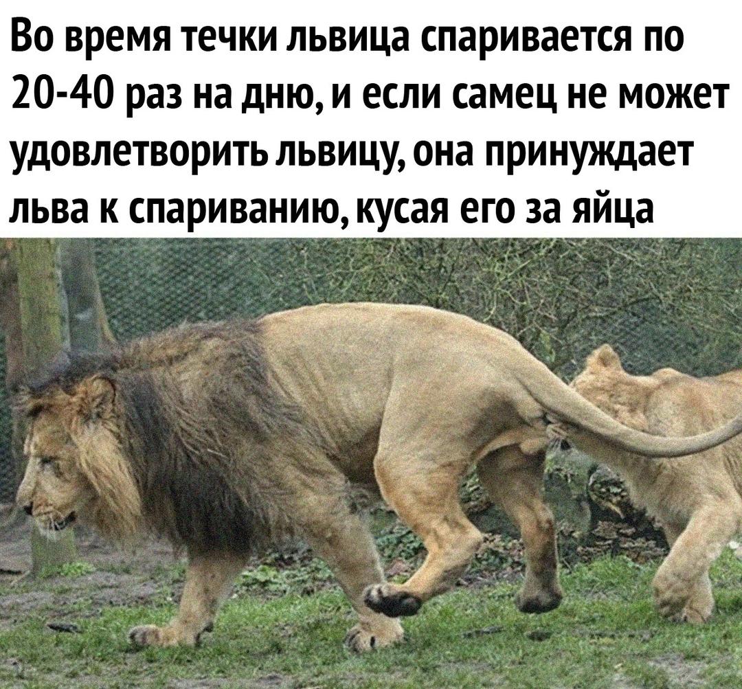 Как же ему тяжело…