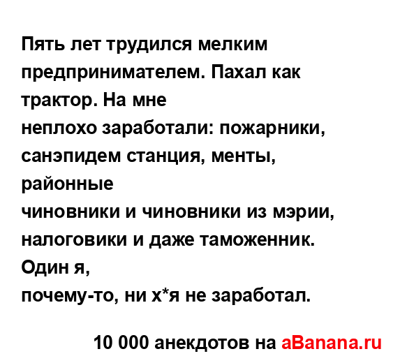 Пять лет трудился мелким предпринимателем. Пахал как...