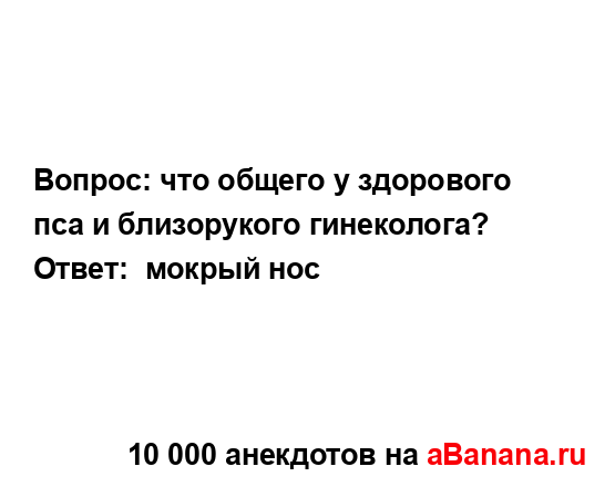 Вопрос: что общего у здорового пса и близорукого...